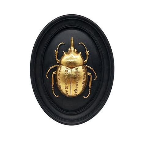 Acheter Une D Coration Murale Scarab E Noir Et Or Emd