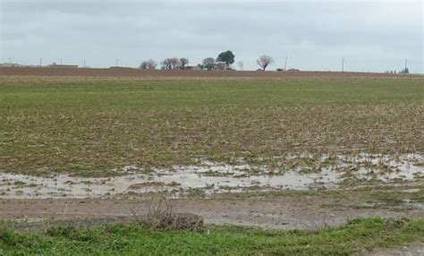 Alerta Por Tormentas Lluvias Y Caída De Granizo En 17 Provincias