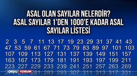 Asal Olan Say Lar Nelerdir Asal Say Lar Den E Kadar Asal