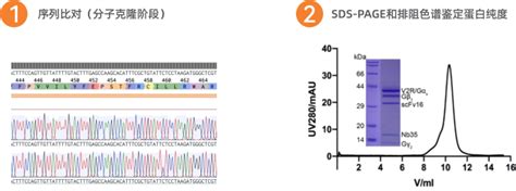 Gpcr Gpcr Gpcr