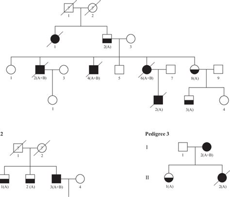 FPD AML Pedigrees Squares Indicate Male And Circles Indicate Female