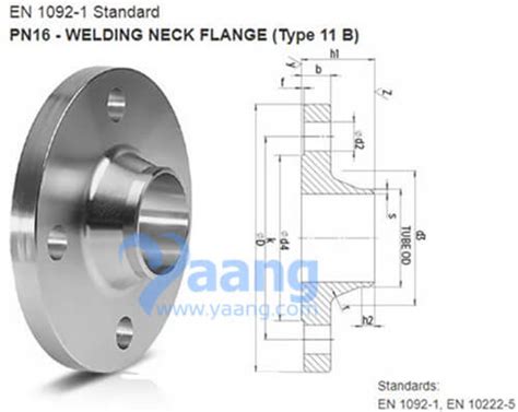 En Type B Wnrf Flange Dn Pn Yaang