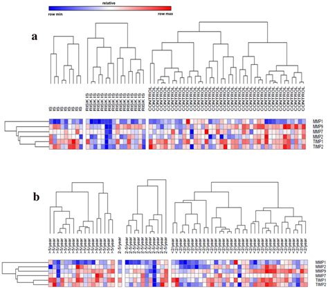 Heatmap Of Gene Expression Of Mmps Timps In Patients With Sickle Cell