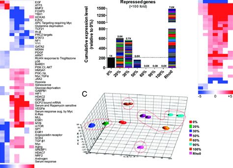 Multiphasic Reprogramming Of Nuclear Gene Expression A Gene Set