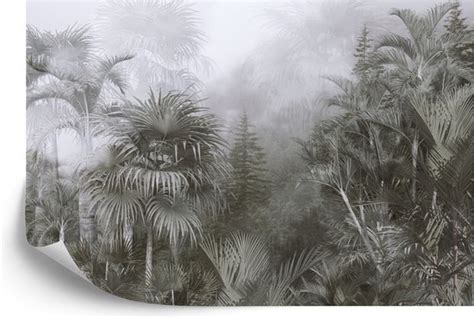 Fotobehang Tropical Trees And Leaves For Digital Printing Wallpaper