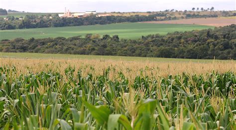 Puxado Pela Agricultura PIB Cresce 1 0 Em 2017 E Chega A R 6 6