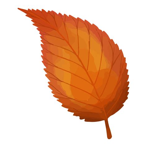 Aquarellblatt Herbstbl Tter Clipart Png