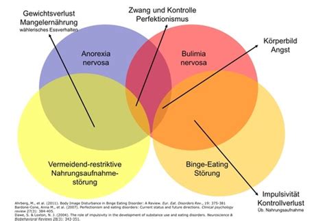 Essst Rungen Karteikarten Quizlet