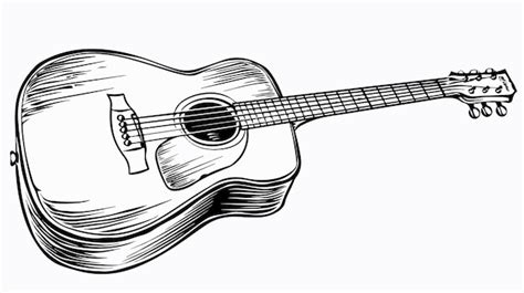 Detailed Acoustic Guitar Line Drawing Vector Design For Creative