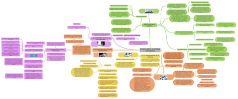 Etapas De La Auditoria Financiera Coggle Diagram