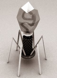 Bacteriophage | Definition, Structure & Types - Video & Lesson ...