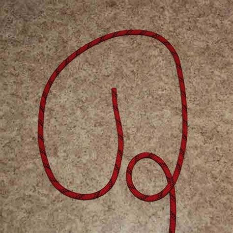 Kalmyk Loop Useful Knots