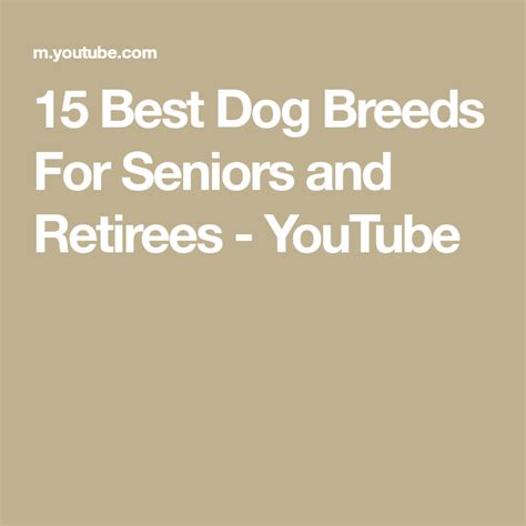 15 Best Dog Breeds For Seniors and Retirees - YouTube | Best dog breeds ...