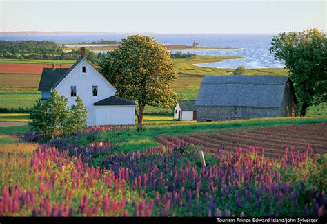 Be Book Bound: Anne of Green Gables April: A Tour of Prince Edward Island