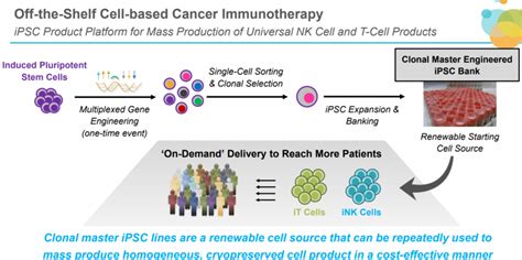 Fda Approves The First Ind Application For Universal Car T Therapy