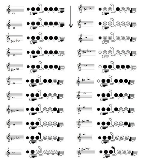 As Digita Es E Posi Es Das Notas Na Flauta Transversal Mascolo