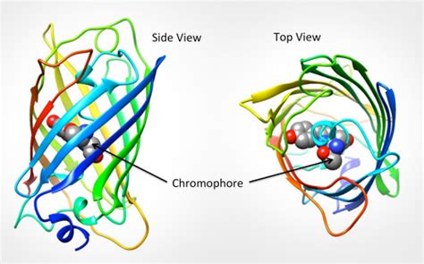 Pdb 101 Learn Paper Models