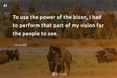 7 Bison Quotes About The Humongous Bovines