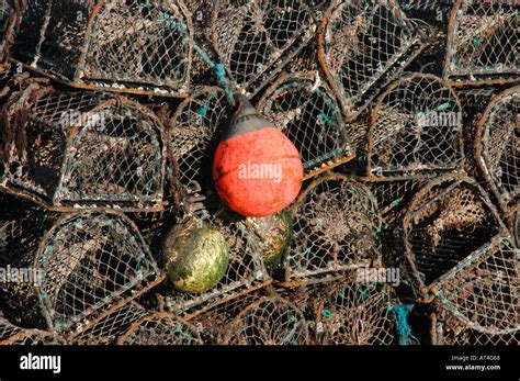 Lobster Pots And Buoys Stock Photo Alamy