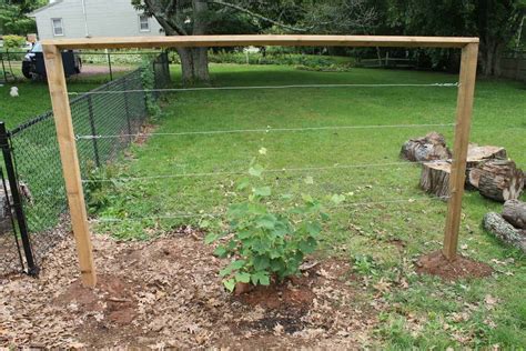 Building A DIY Wire Trellis