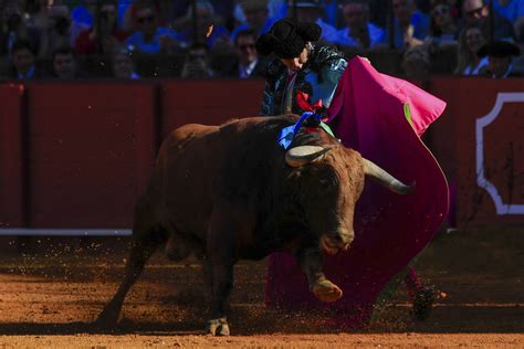 Morante De La Puebla La Maestranza Morante De La Puebla Hace