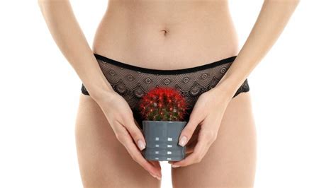 Comment Bien Choisir Sa Culotte Menstruelle