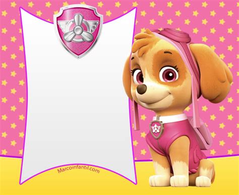 Marcos De Skye Paw Patrol Marcos Infantiles