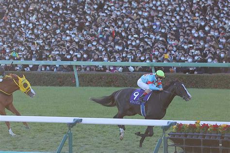 【有馬記念】圧勝のイクイノックス来年は海外も視野 ルメール騎手「楽勝！ スーパーホースに見えました」｜競馬ニュース｜競馬予想のウマニティ