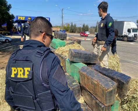 Caminhoneiro Preso Tr S Toneladas De Maconha Avaliada Em R