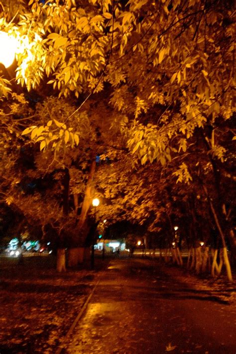 Осень. Дорога. Листва. Ночь. Вечер | Абстрактные фотографии, Осень, Дорога
