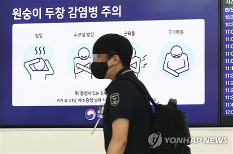 원숭이두창 국내 2번째 환자 발생지난달 18일 입국 내국인종합 나무뉴스