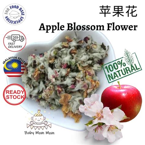 Apple Blossom Tea Apple Flower Tea Teh Bunga Epal Lazada