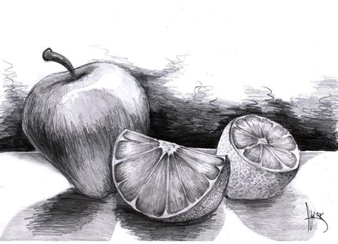 Fruits Still Life Drawings In Pencil