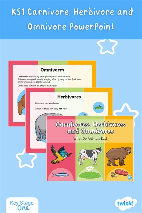 Ks1 Carnivore Herbivore And Omnivore Powerpoint