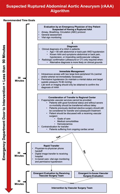 Society For Vascular Surgery Implementation Of Clinical Practice