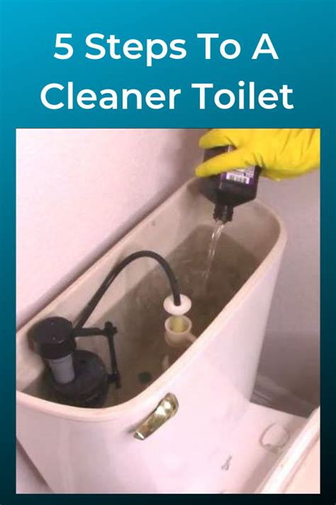 How To Clean Your Toilet From Top To Bottom Toilet Cleaning Diy