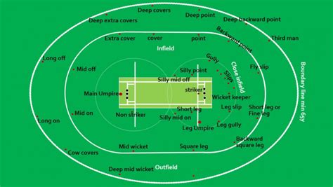 Beginners guide to cricket rules