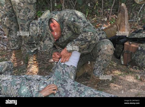 Les Forces B Liziennes Et Mexicaines Ont Re U Une Formation De Survie