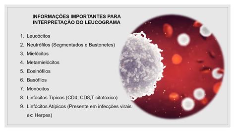 O Que Leucograma Segmentados Braincp