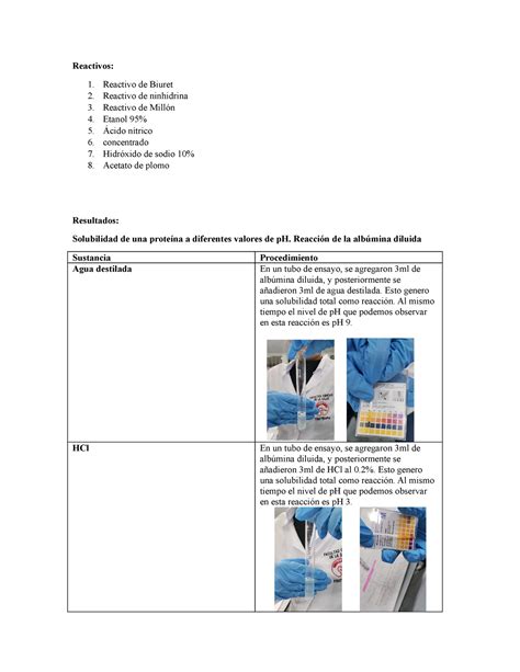 Informe 26 Junio Reacciones Quimicas Reactivos Reactivo De Biuret Reactivo De Ninhidrina