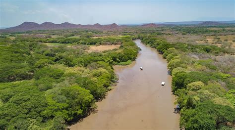 Palo Verde National Park And Tempisque River Nature Tour