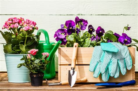 Premium Photo | Gardening tools and flowers