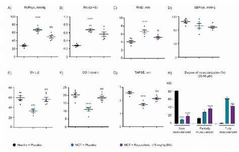 Effect Of Regorafenib On Cardio Pulmonary Functions In Monocrotaline