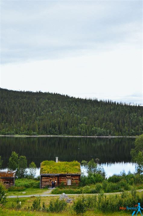 6 Reasons Why You Should Go To Swedish Lapland Miss Tourist Travel Blog