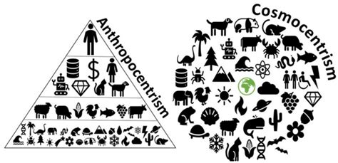 Anthropocentric Vs Eco Cosmo Centric View Of Life In The Context Of