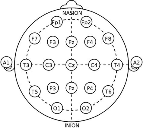 Frontiers Prediction Model For Potential Depression Using Sex And Age