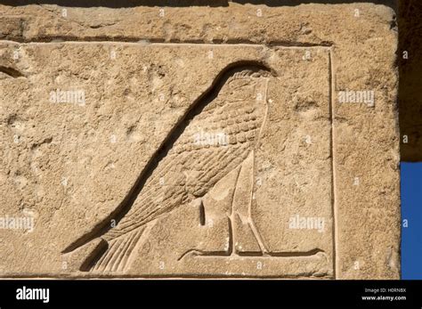 The Saqqara Bird Banque Dimage Et Photos Alamy