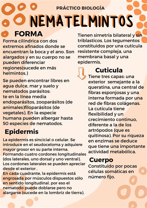 Solution Pr Ctico Completo Nematelmintos Studypool