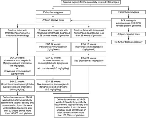 New Developments In Fetal And Neonatal Alloimmune Thrombocytopenia