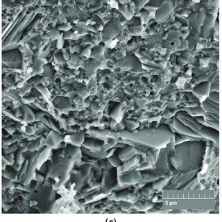 Sem Micrographs Of Fracture Surface Topography Of Composites Spsed At